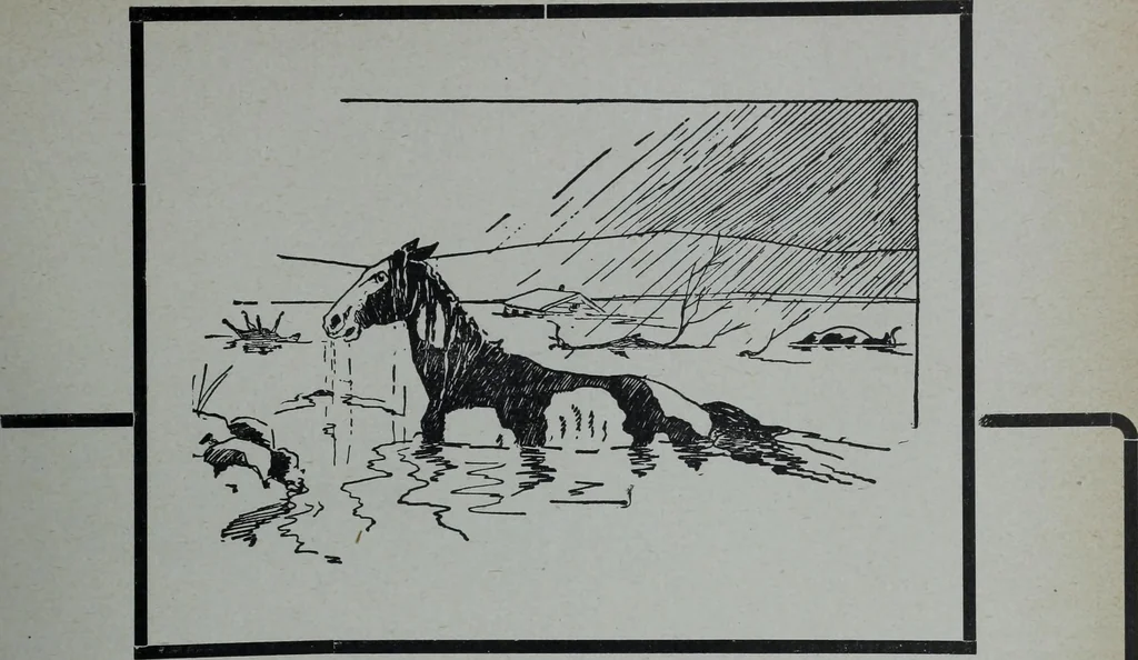 An illustration from Tissus et nouveauts 1904, 1904, leaf 286