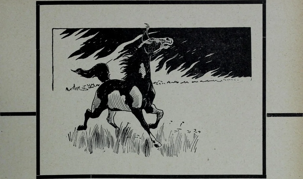 An illustration from Tissus et nouveauts 1904, 1904, leaf 358