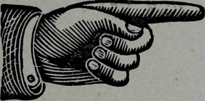 An illustration from Tissus et nouveauts 1904, 1904, leaf 366