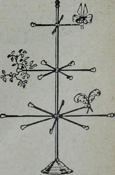 An illustration from Tissus et nouveauts 1904, 1904, leaf 376