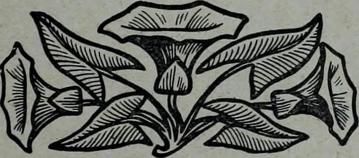 An illustration from Tissus et nouveauts 1904, 1904, leaf 412