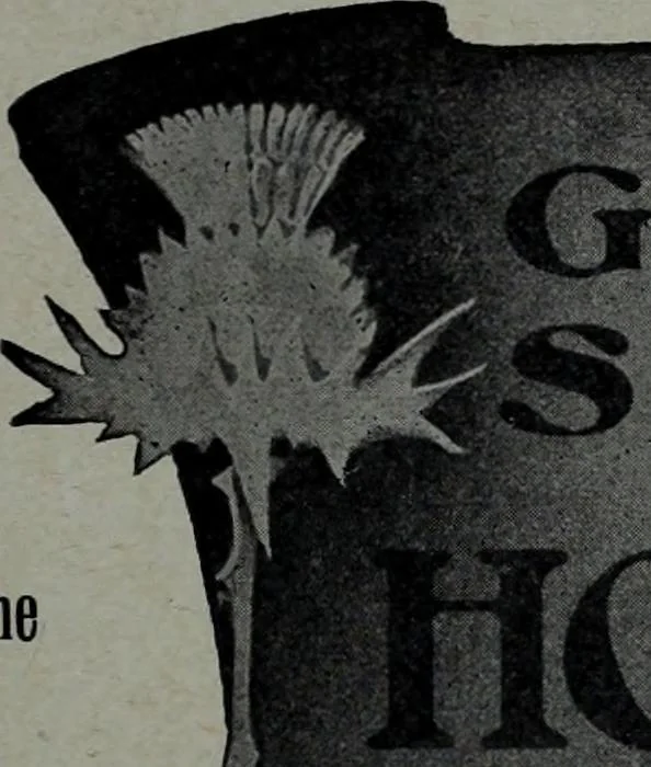 An illustration from Tissus et nouveauts 1904, 1904, leaf 466