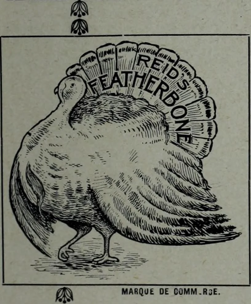 An illustration from Tissus et nouveauts 1904, 1904, leaf 518