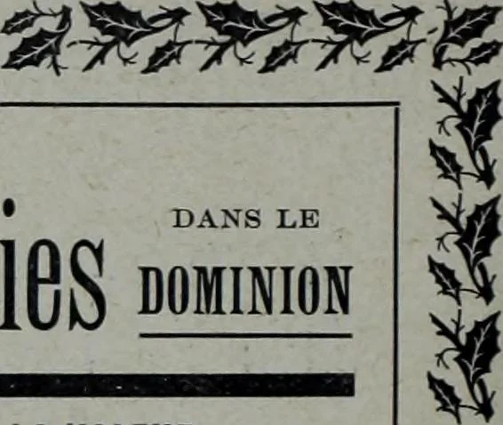 An illustration from Tissus et nouveauts 1904, 1904, leaf 545