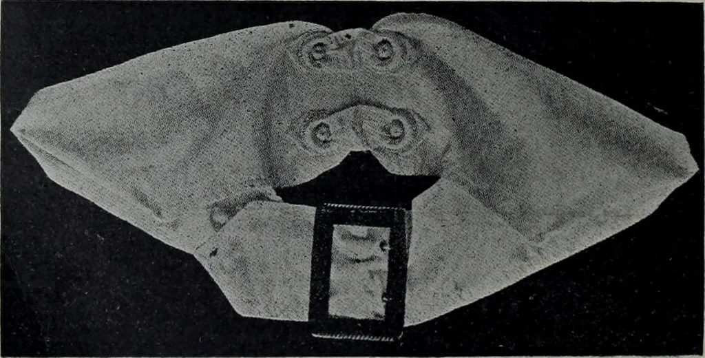 An illustration from Tissus et nouveauts 1904, 1904, leaf 565