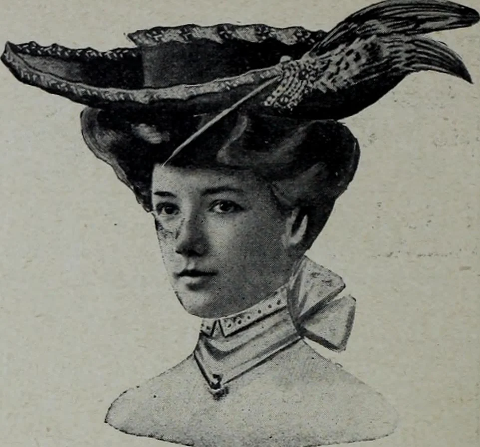 An illustration from Tissus et nouveauts 1904, 1904, leaf 575