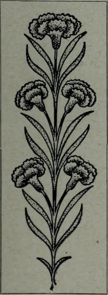 An illustration from Tissus et nouveauts 1904, 1904, leaf 576