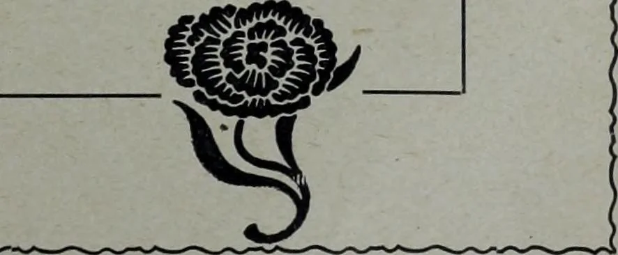 An illustration from Tissus et nouveauts 1904, 1904, leaf 592