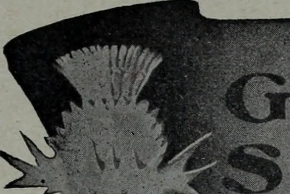 An illustration from Tissus et nouveauts 1904, 1904, leaf 640