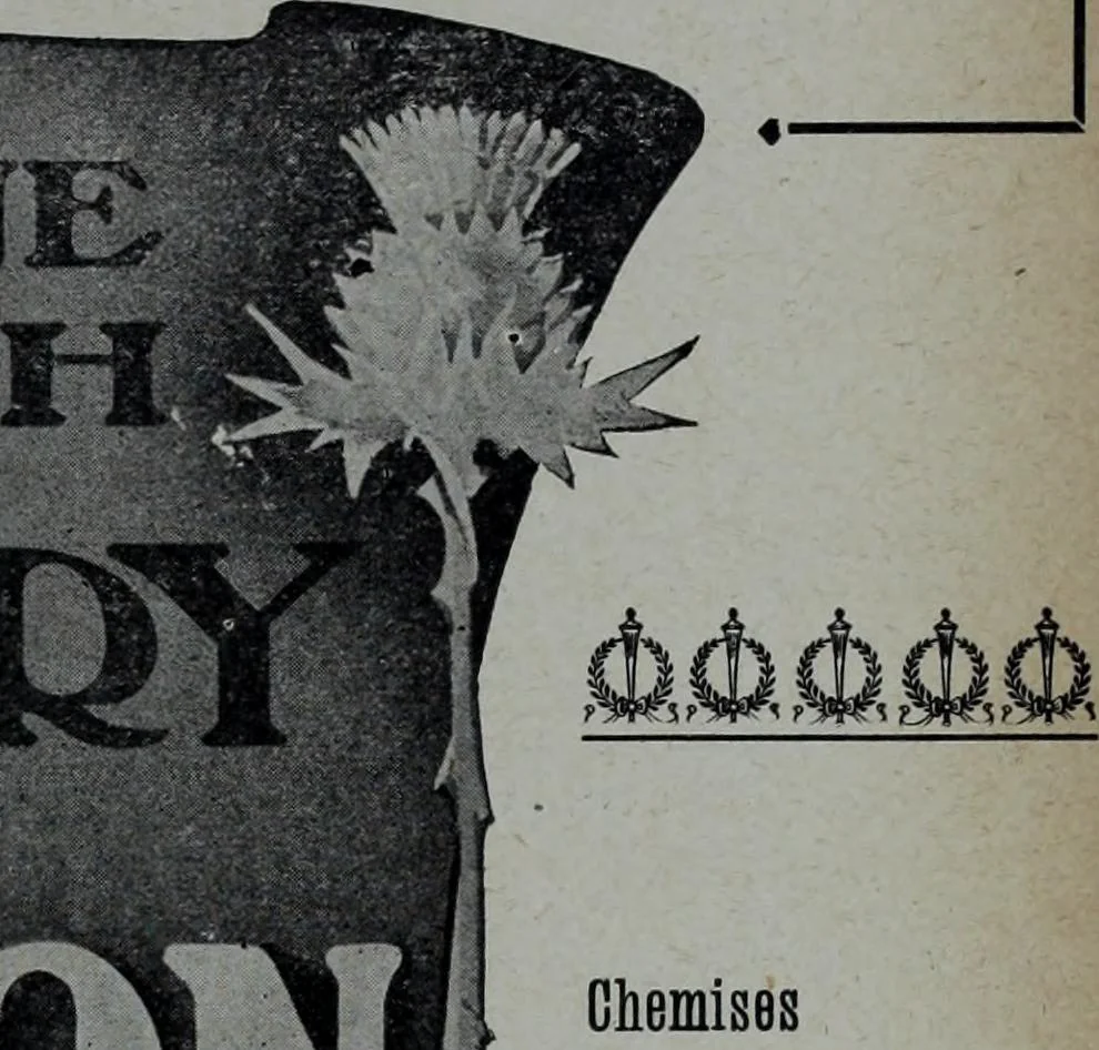 An illustration from Tissus et nouveauts 1904, 1904, leaf 692