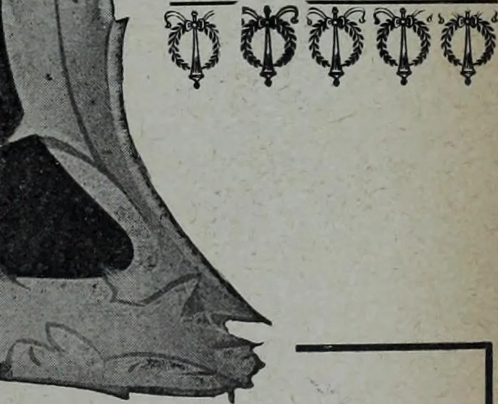 An illustration from Tissus et nouveauts 1904, 1904, leaf 692