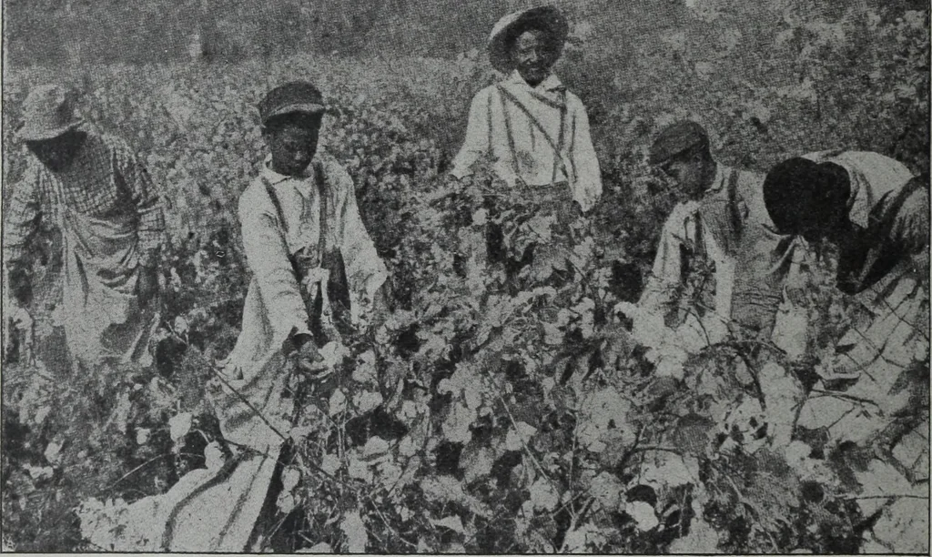 An illustration from Tissus et nouveauts 1904, 1904, leaf 73