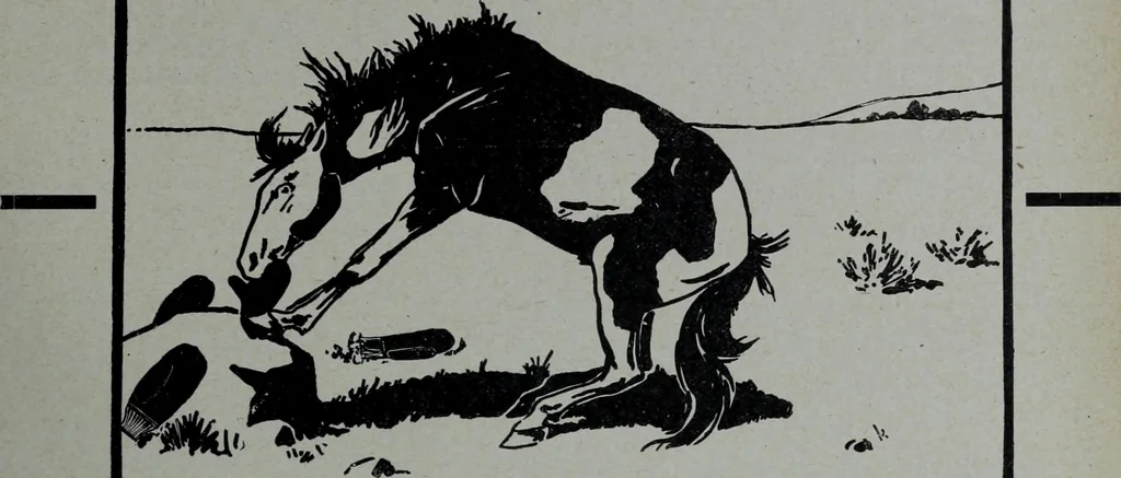 An illustration from Tissus et nouveauts 1904, 1904, leaf 744