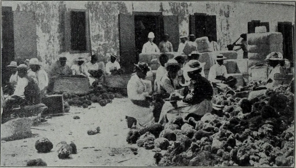 An illustration from Tissus et nouveauts 1904, 1904, leaf 765