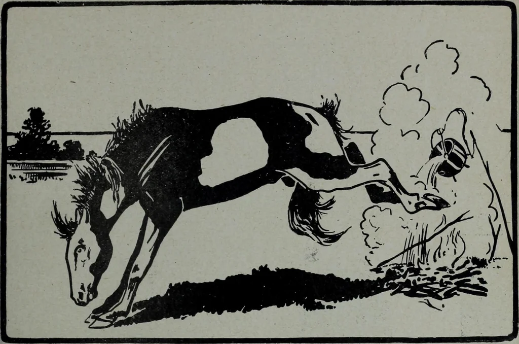 An illustration from Tissus et nouveauts 1904, 1904, leaf 800