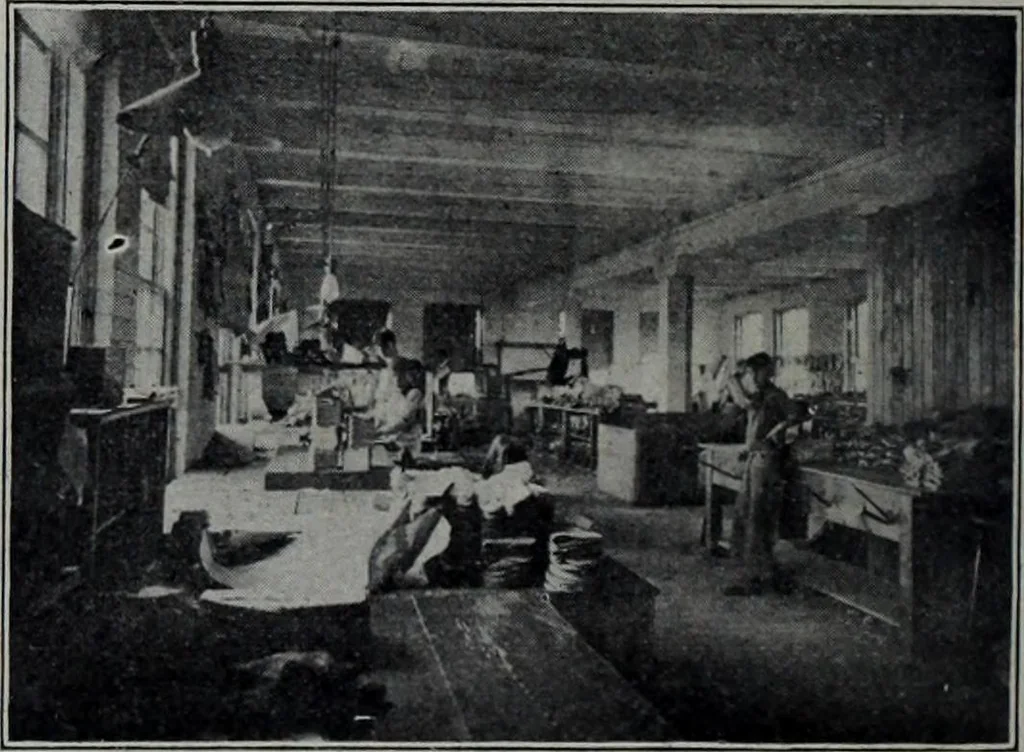 An illustration from Tissus et nouveauts 1905, 1905, leaf 109