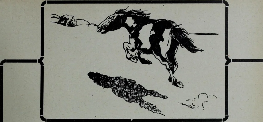 An illustration from Tissus et nouveauts 1905, 1905, leaf 166