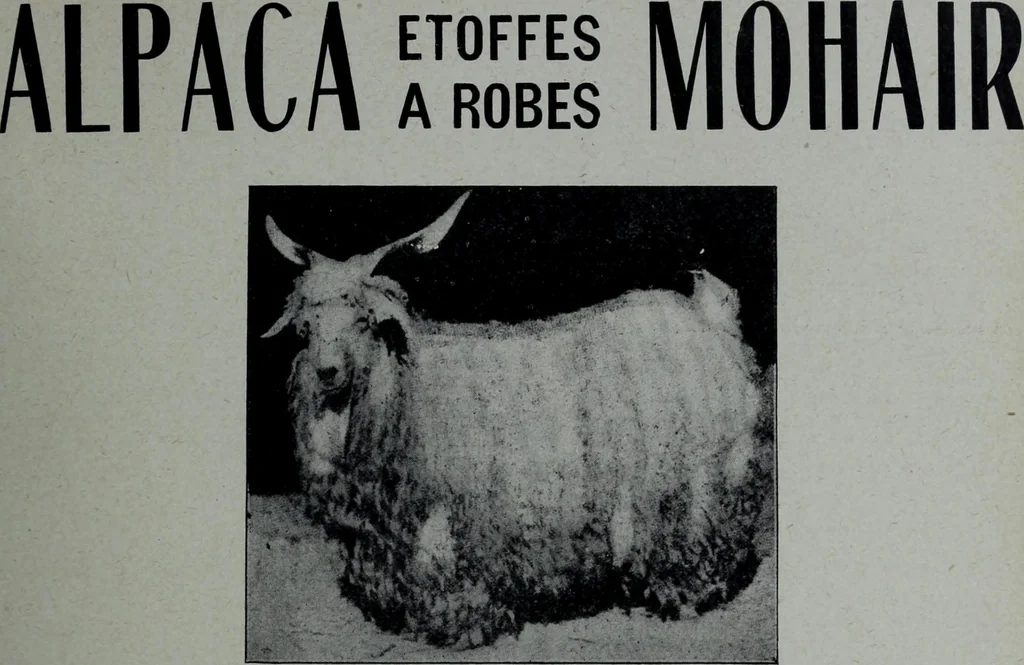 An illustration from Tissus et nouveauts 1905, 1905, leaf 170