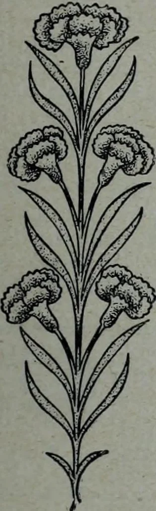 An illustration from Tissus et nouveauts 1905, 1905, leaf 186