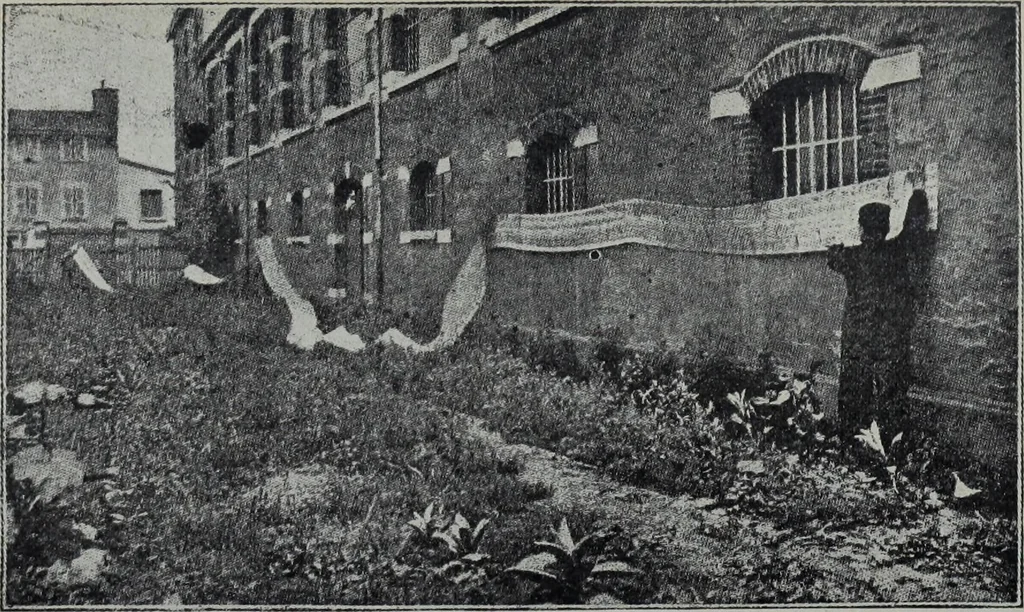 An illustration from Tissus et nouveauts 1905, 1905, leaf 21
