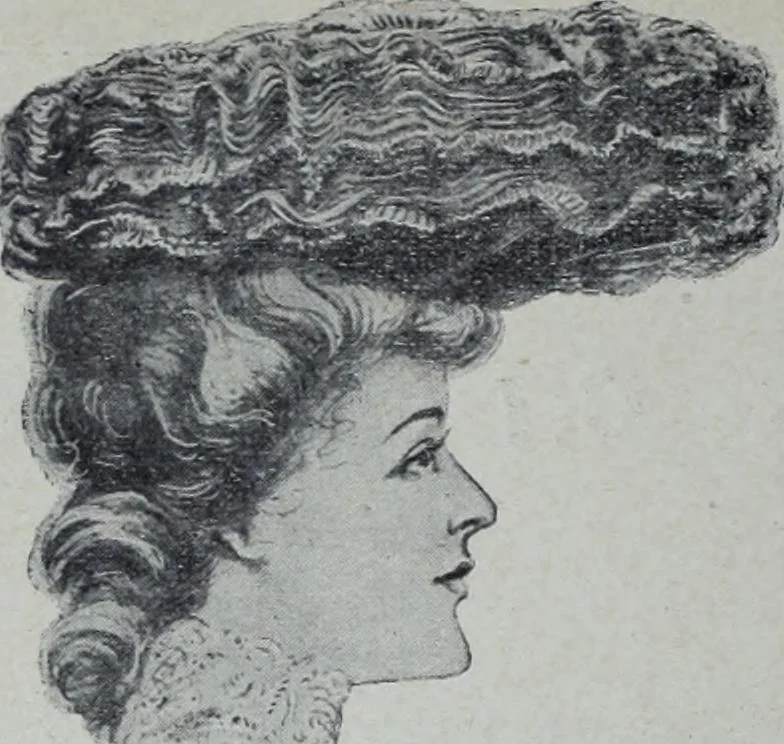 An illustration from Tissus et nouveauts 1905, 1905, leaf 263
