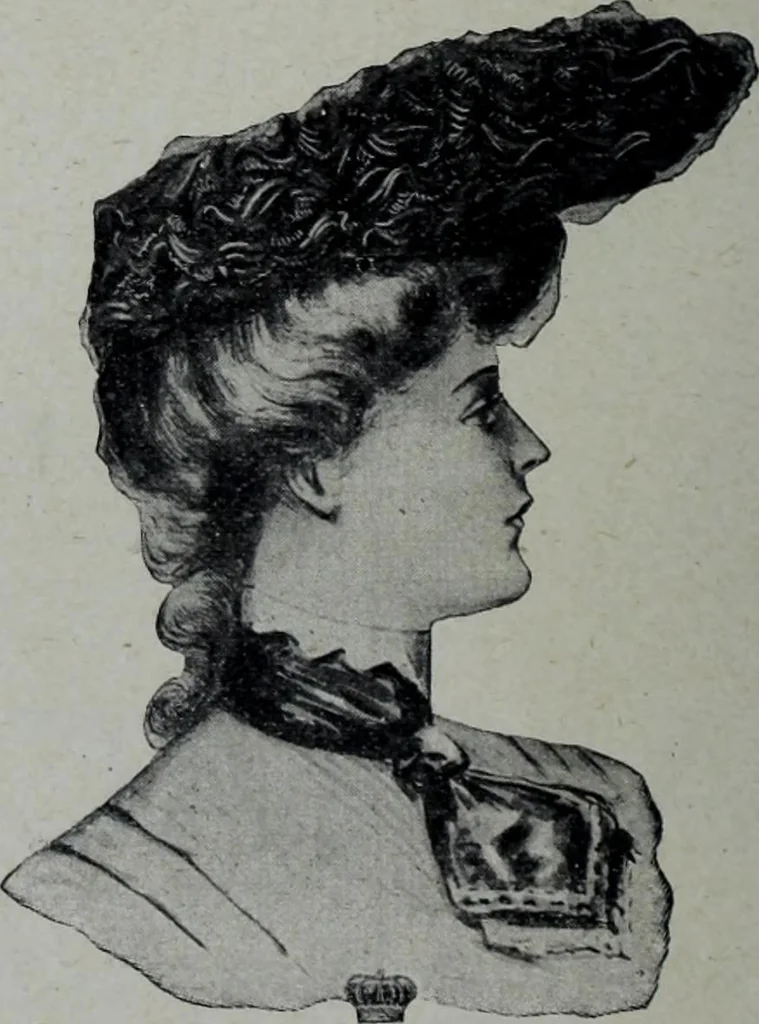 An illustration from Tissus et nouveauts 1905, 1905, leaf 263