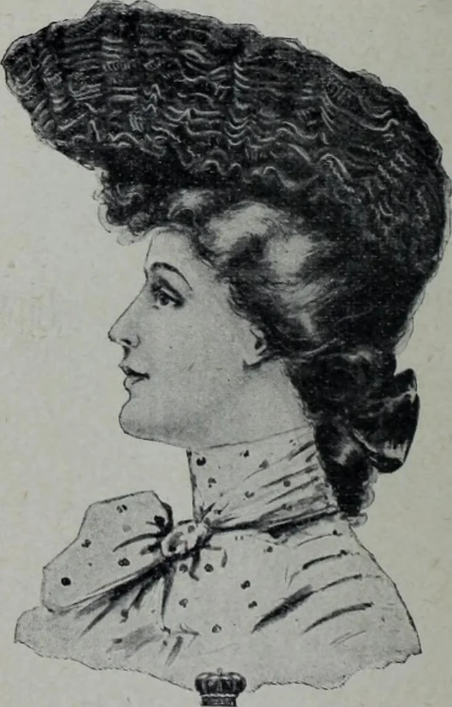 An illustration from Tissus et nouveauts 1905, 1905, leaf 265