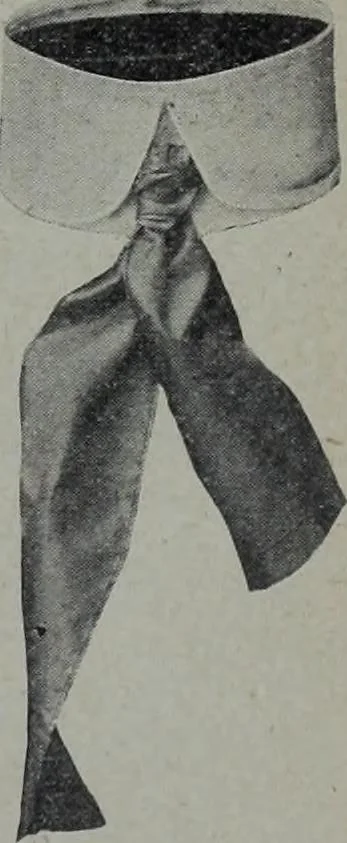 An illustration from Tissus et nouveauts 1905, 1905, leaf 28