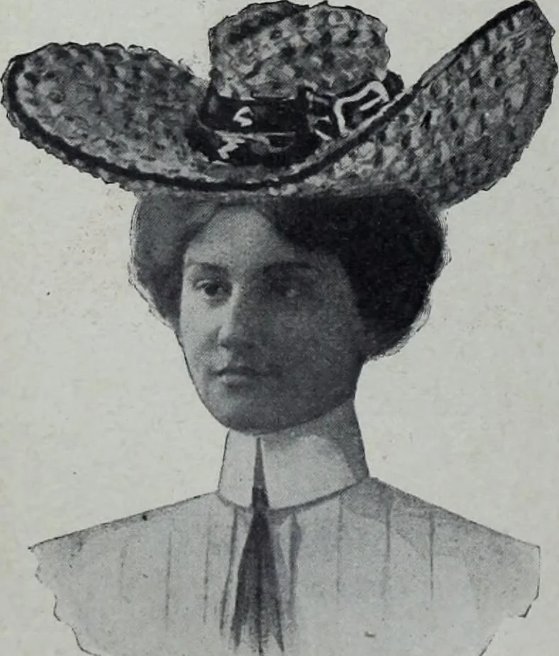 An illustration from Tissus et nouveauts 1905, 1905, leaf 291
