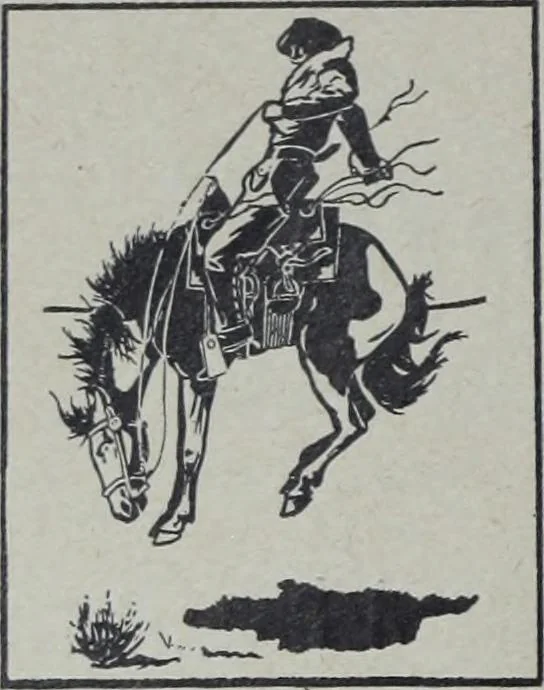 An illustration from Tissus et nouveauts 1905, 1905, leaf 365