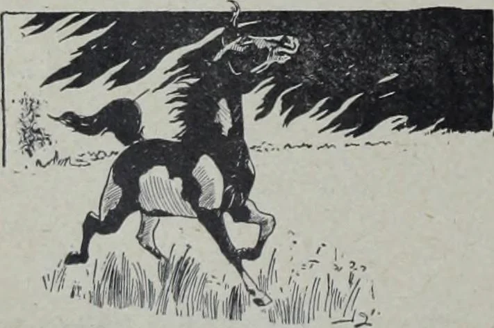 An illustration from Tissus et nouveauts 1905, 1905, leaf 365