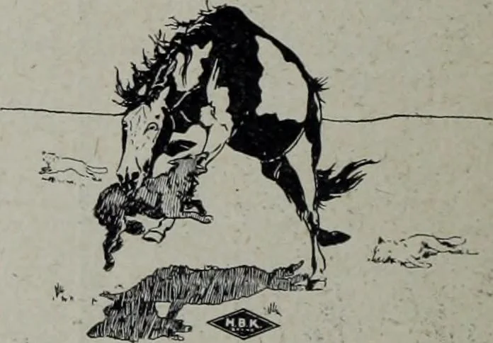 An illustration from Tissus et nouveauts 1905, 1905, leaf 365