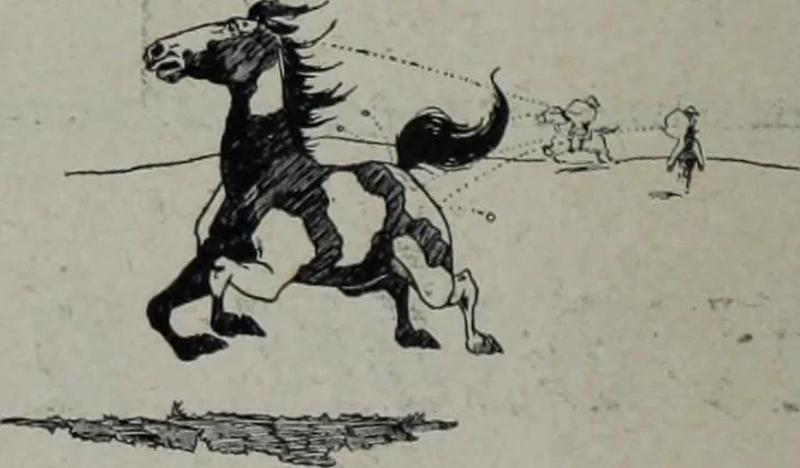 An illustration from Tissus et nouveauts 1905, 1905, leaf 365