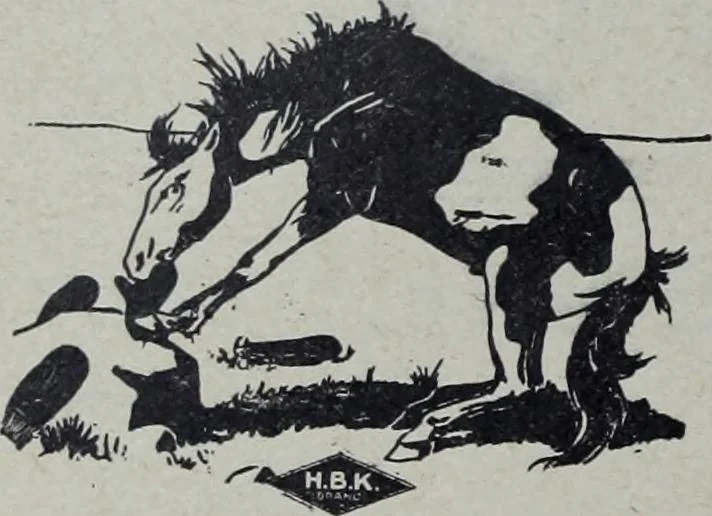 An illustration from Tissus et nouveauts 1905, 1905, leaf 367