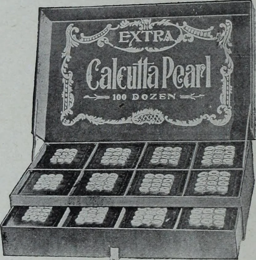 An illustration from Tissus et nouveauts 1905, 1905, leaf 439