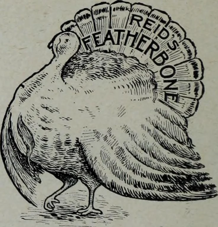 An illustration from Tissus et nouveauts 1905, 1905, leaf 47