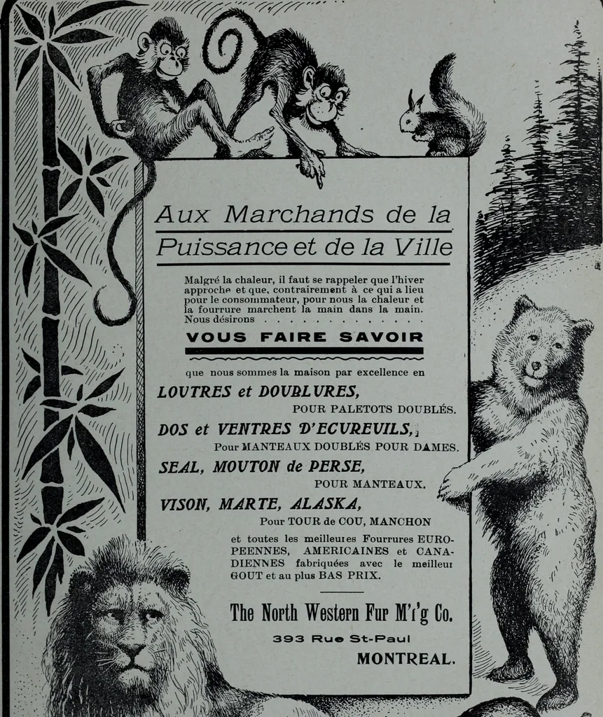 An illustration from Tissus et nouveauts 1905, 1905, leaf 480