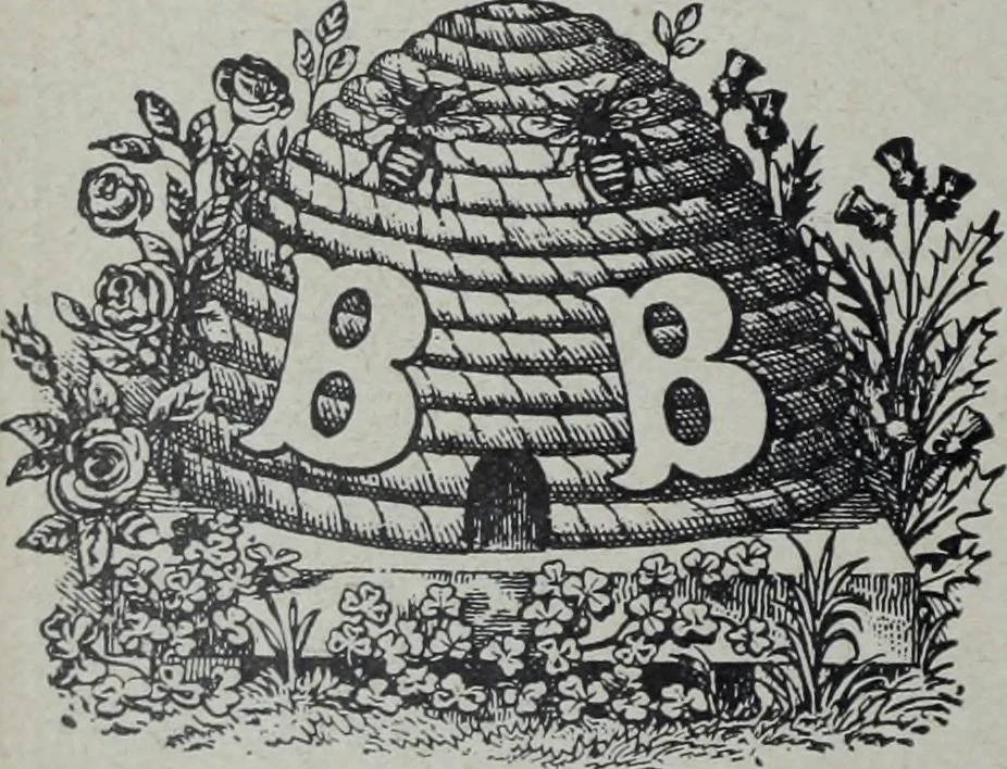 An illustration from Tissus et nouveauts 1905, 1905, leaf 557