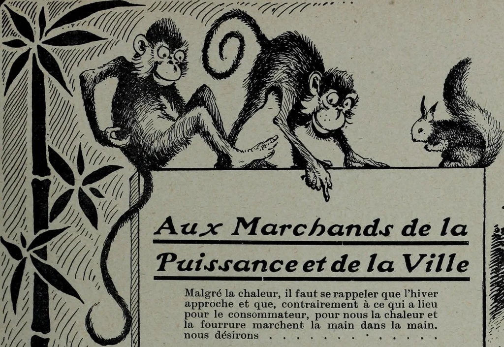 An illustration from Tissus et nouveauts 1905, 1905, leaf 558