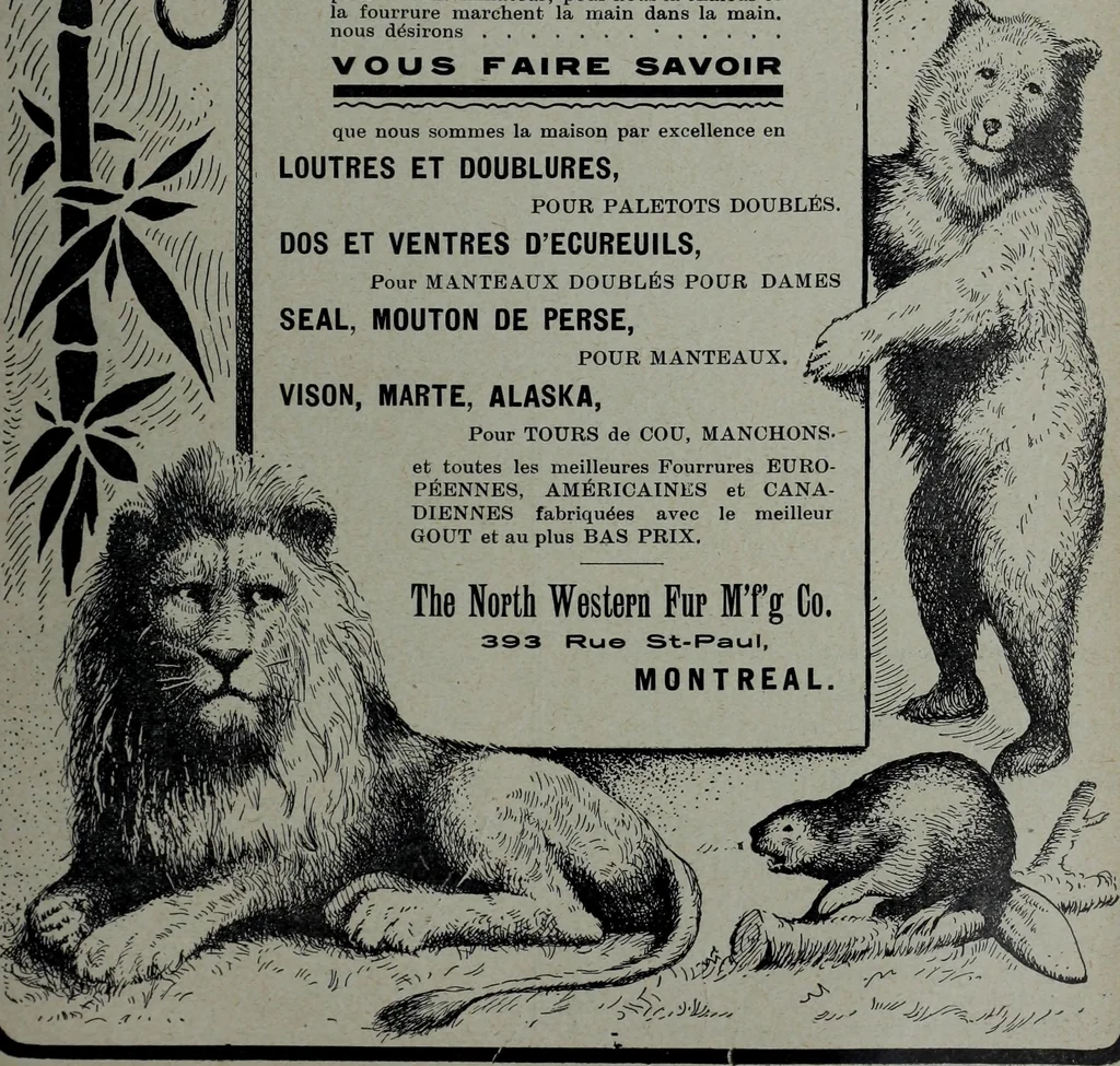 An illustration from Tissus et nouveauts 1905, 1905, leaf 558