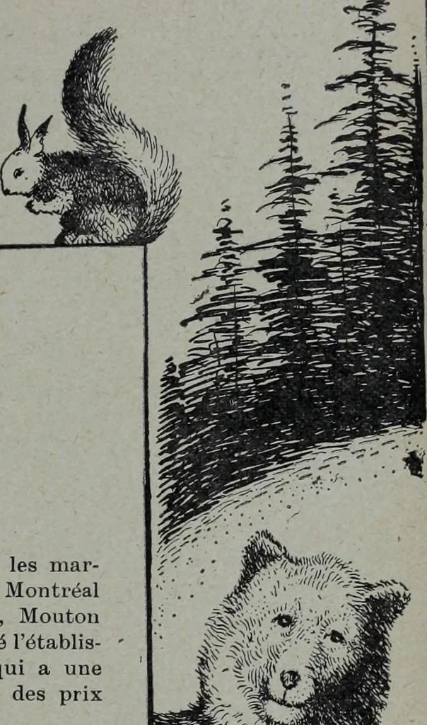 An illustration from Tissus et nouveauts 1905, 1905, leaf 612