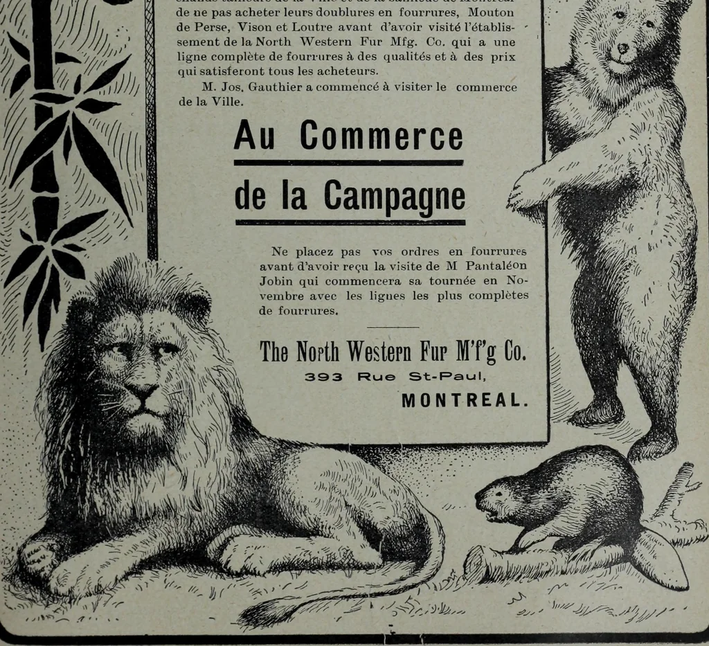 An illustration from Tissus et nouveauts 1905, 1905, leaf 612