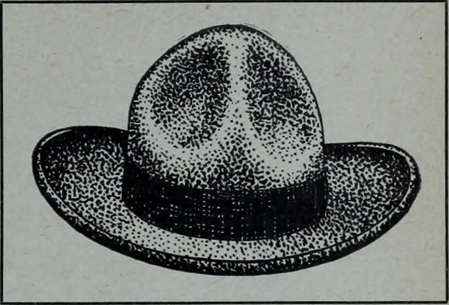 An illustration from Tissus et nouveauts 1905, 1905, leaf 632