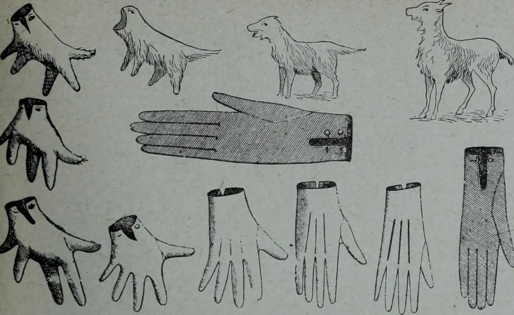 An illustration from Tissus et nouveauts 1905, 1905, leaf 668