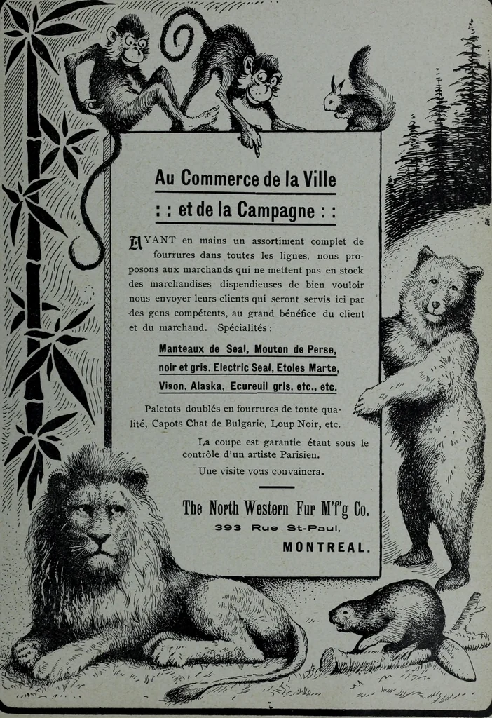 An illustration from Tissus et nouveauts 1905, 1905, leaf 708