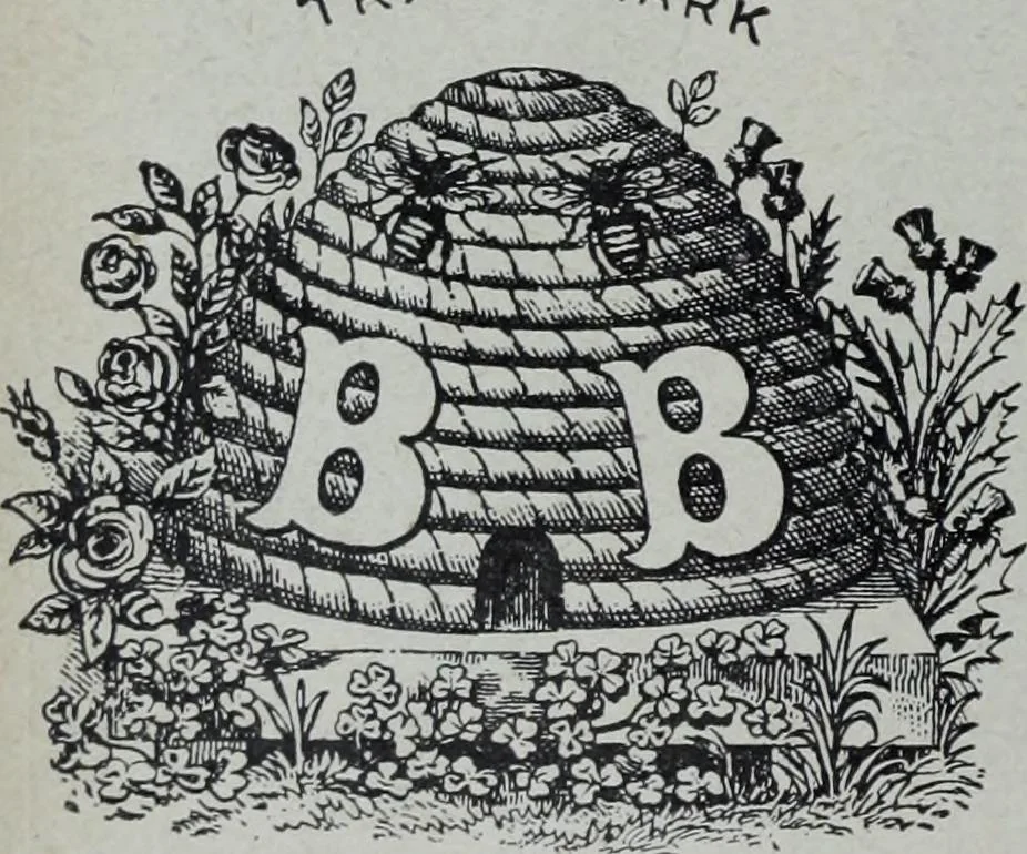 An illustration from Tissus et nouveauts 1905, 1905, leaf 91