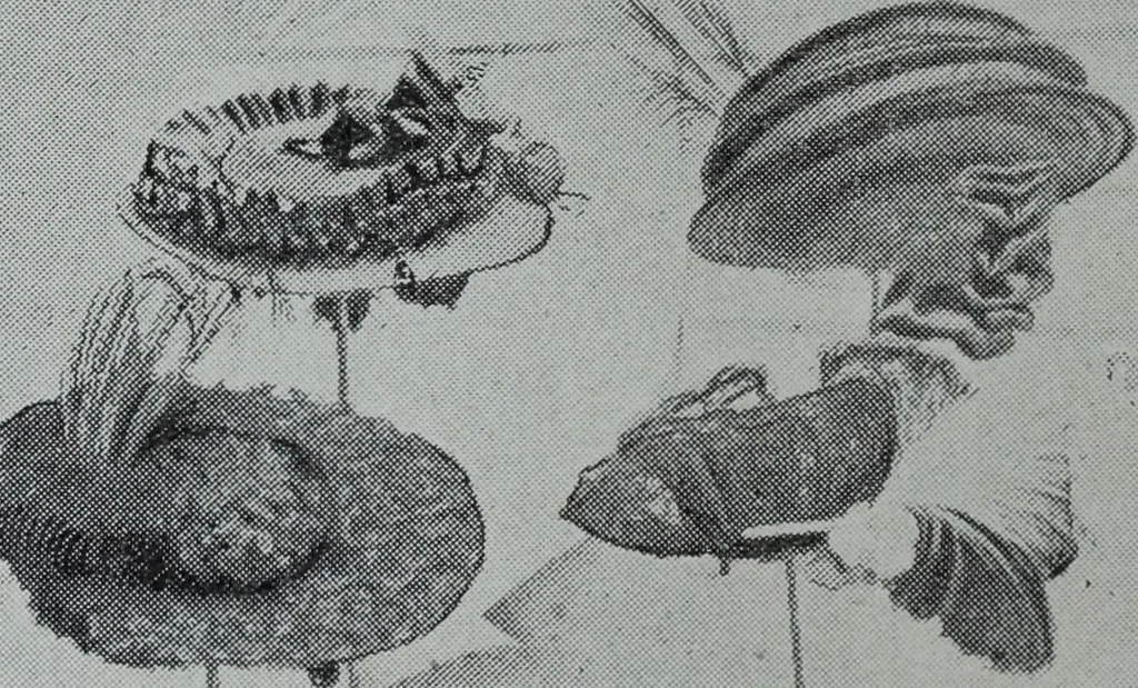 An illustration from Tissus et nouveauts 1906, 1906, leaf 137