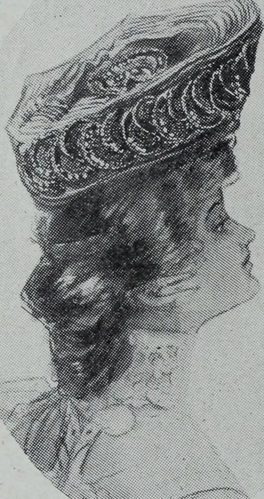 An illustration from Tissus et nouveauts 1906, 1906, leaf 141