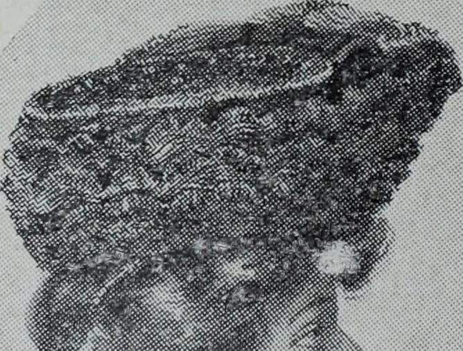 An illustration from Tissus et nouveauts 1906, 1906, leaf 141