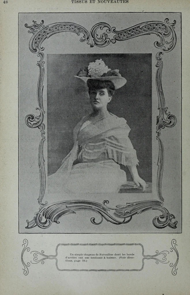An illustration from Tissus et nouveauts 1906, 1906, leaf 179